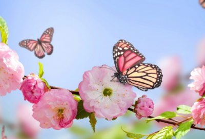 ​简单好听的女生网名大全独一无二204个