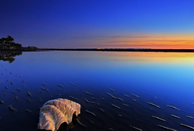 ​带有符号网名207个