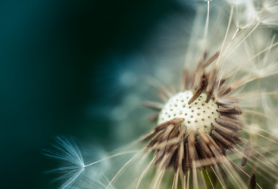 ​繁体微信网名女生版225个