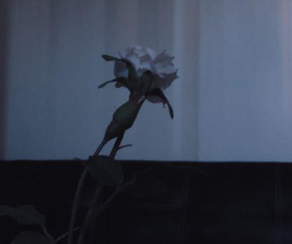 简洁的友情句子集合84句