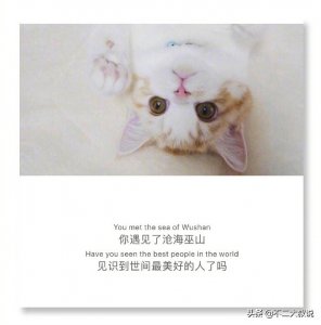 ​英汉互译的优美句子 ，你值得拥有