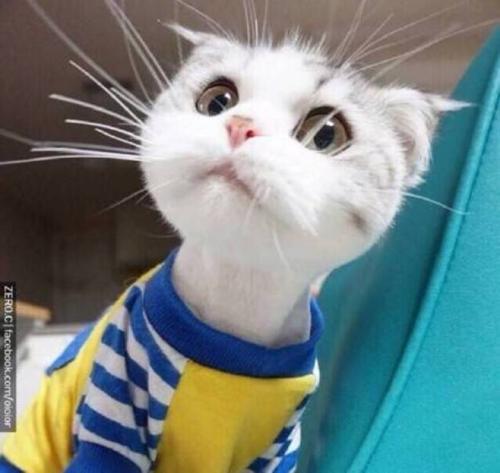 2025年常用人生感悟句子集锦58条