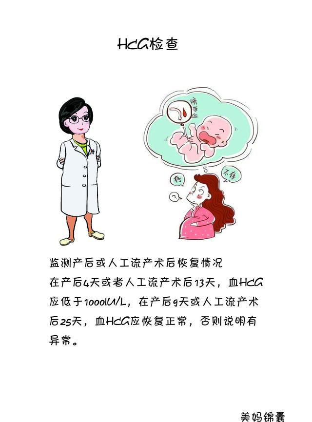 hcg检查查什么（什么是HCG检查）(8)