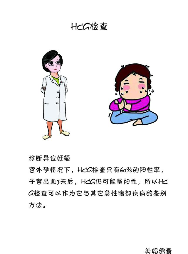 hcg检查查什么（什么是HCG检查）(4)