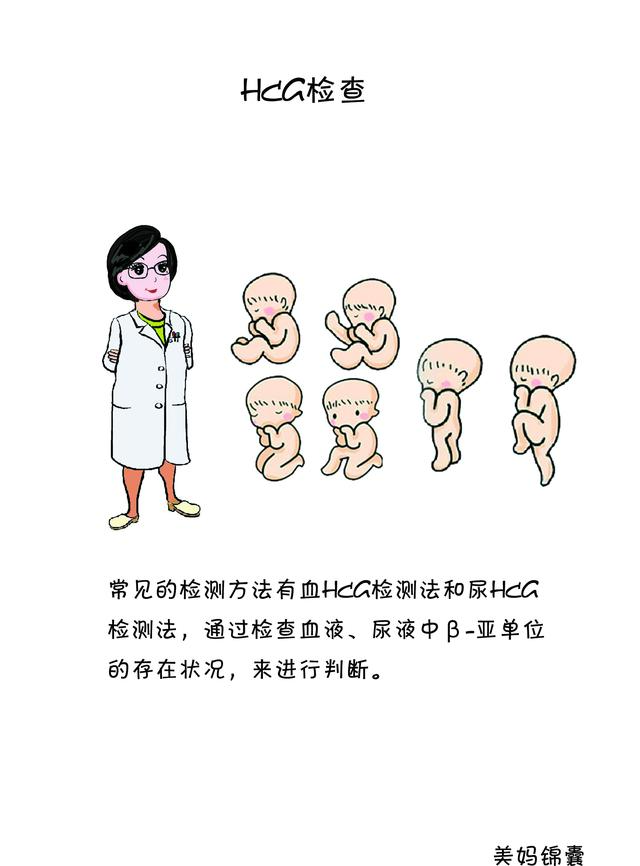 hcg检查查什么（什么是HCG检查）(9)