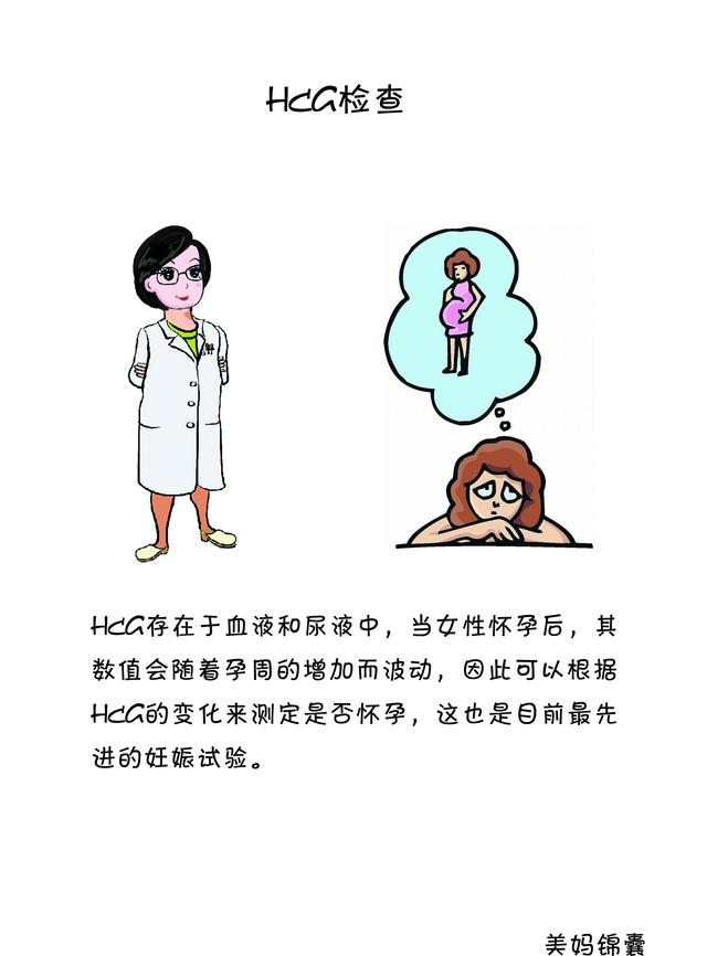 hcg检查查什么（什么是HCG检查）(2)