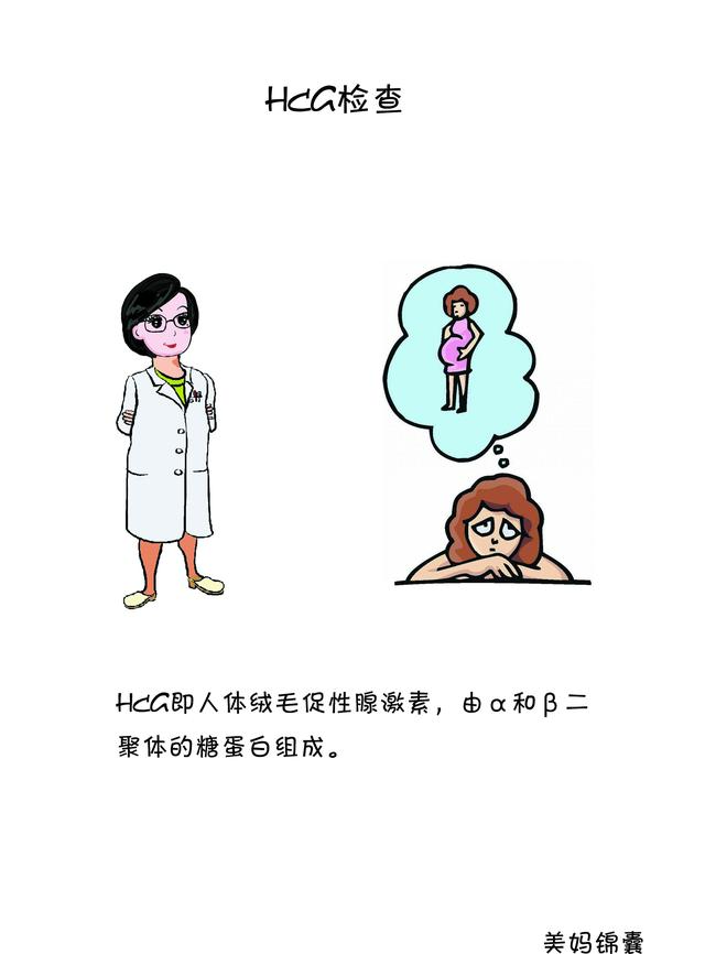 hcg检查查什么（什么是HCG检查）(1)