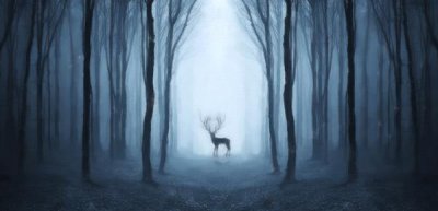 ​如何判断对方是否想撒谎