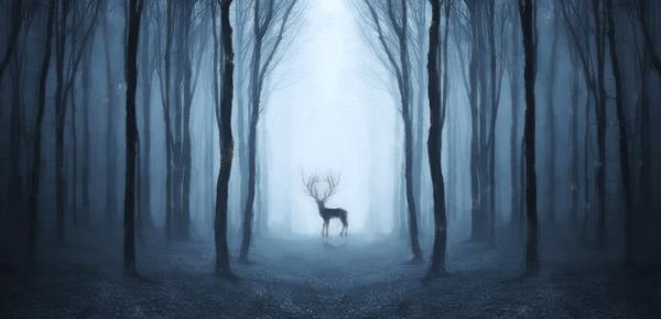 如何判断对方是否想撒谎