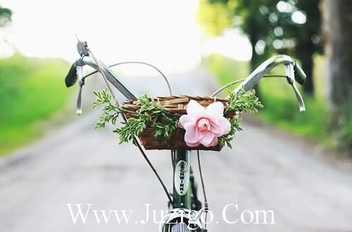 大学毕业老师寄语83句