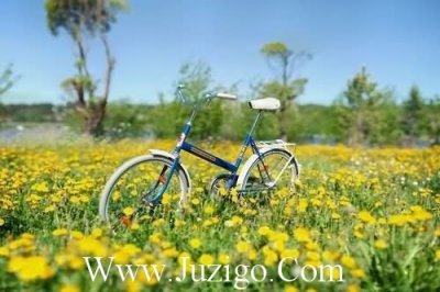 ​秒评搞笑句子秒评的搞笑句子(精选70句)