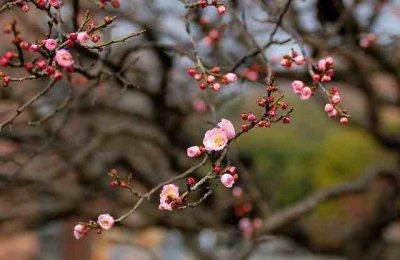 ​表达爱国情怀的名句（精选84句）