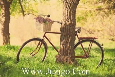 ​送给虚心假意人的句子假心假意的句子(精选55句)