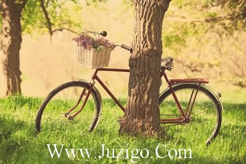 送给虚心假意人的句子假心假意的句子(精选55句)