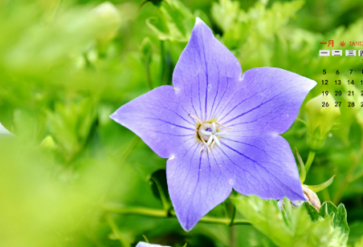 ​穿越火线中性名字(精选101个)