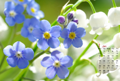 ​有创意的杂货铺名字大全(76个)