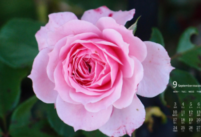 ​带符号快手名字大全(精选73个)