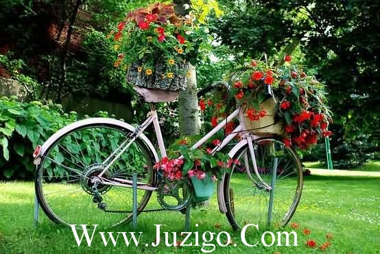 描写夜晚的优美句子(精选48句)