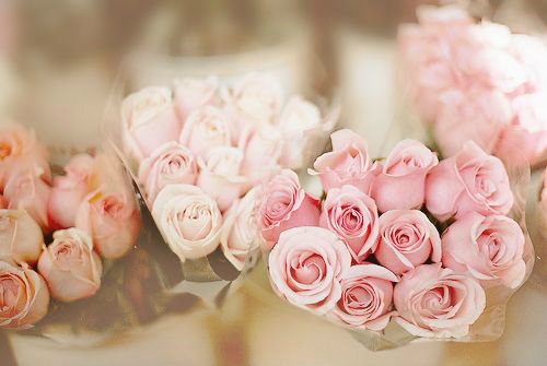 优美英语句子古风