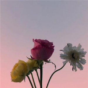 ​关于描写校园的优美的句子