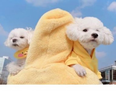 ​关于跨年夜的句子 给同学发的跨年夜句子