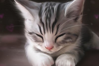 ​关于姐妹的qq签名102句