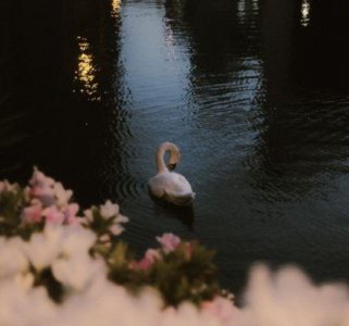 ​提醒大家天冷了记得穿衣服的句子(47句)