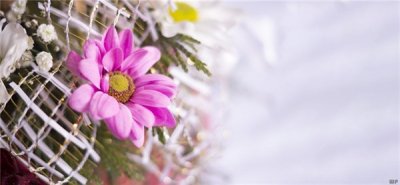 ​男人眼里善良的女人 心地善良的女人最美丽