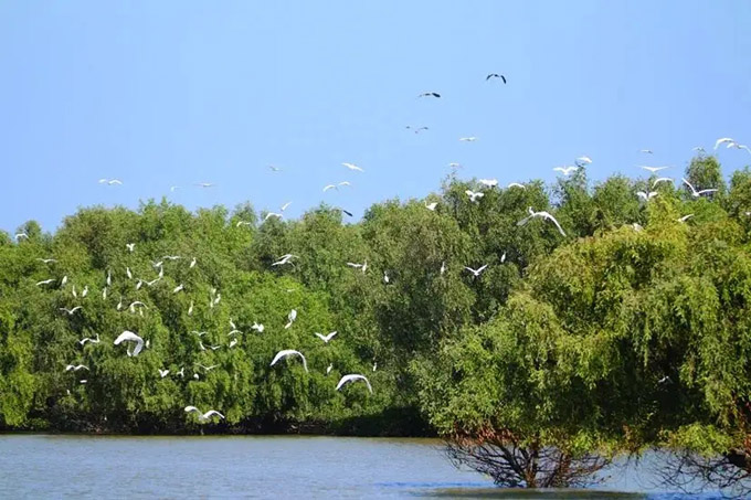 2025珠海旅游必去的4个景点