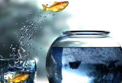 ​英语昵称,好听英文网名309个