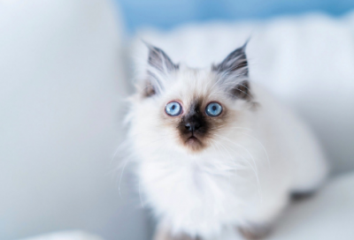 ​女孩名字姓邓取名 好听的名字女孩简单