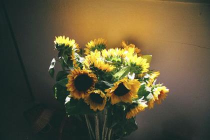 成熟干净的句子