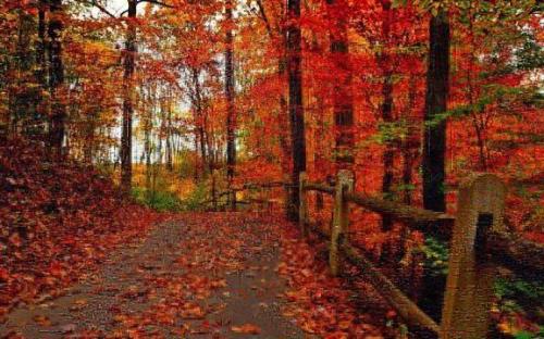 日常朋友圈生活说说