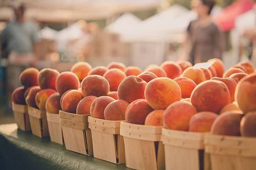 和马有关的歇后语67句