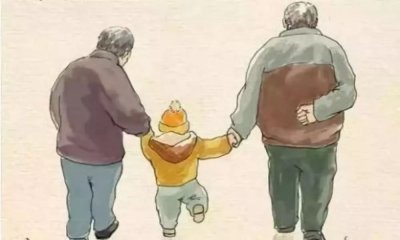 ​描写老人的句子摘抄（小学生作文素材积累3：写“爷爷奶奶”的好词好句好