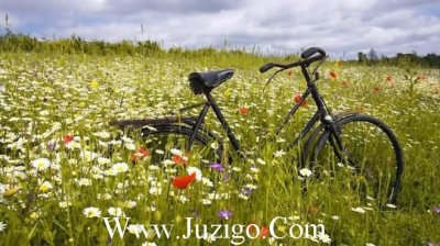 ​友谊的句子唯美超短句友谊的唯美句子(精选65句)