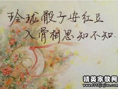 关于熊的优美句子 形容小熊 句子