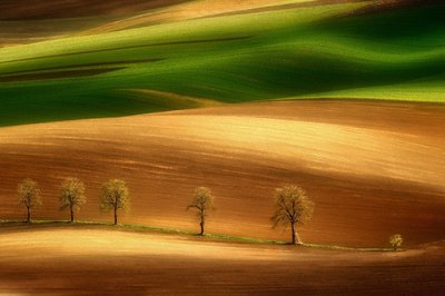 ​小学的歇后语大全82句