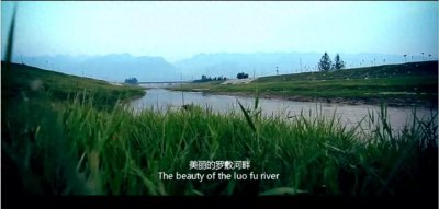 ​全省首批公共文化服务高质量发展示范镇之华阴罗敷镇