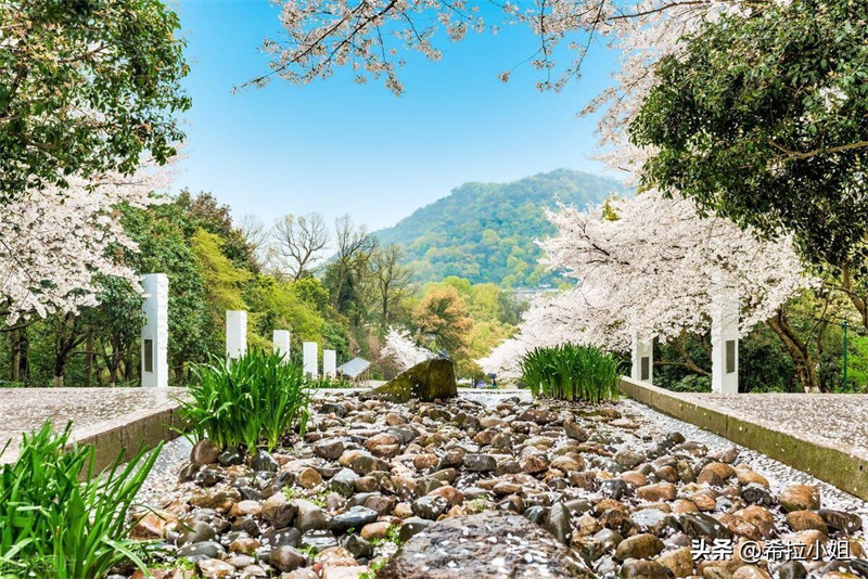 杭州西湖十景是哪十景(杭州西湖十景介绍)