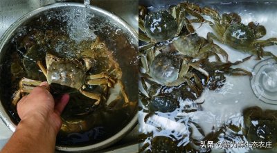 ​手把手教你水煮大闸蟹
