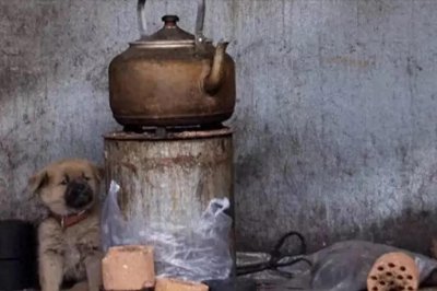 ​五亩粮食收入不够天然气供暖70天，农村人该如何取暖？