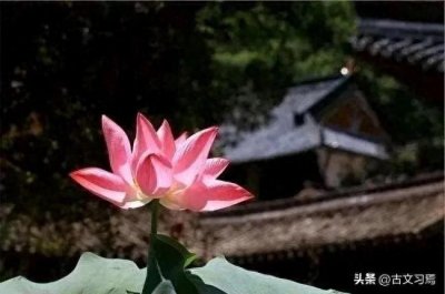 ​古人为什么强调积阴德这件事？