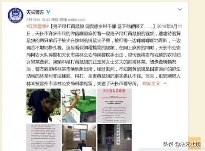 ​麻雀 黄鼠狼 壁虎 癞蛤蟆，三有动物要记牢，当心犯罪又判刑