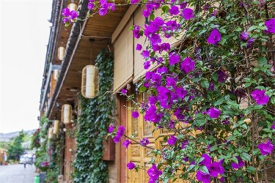 ​为了养花种菜，奶奶花160万买了郊区的别墅，3年之后，后悔了