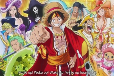 ​都知道海贼王的船员是谁，但是他们的定位和职业你们清楚吗？