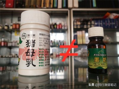 ​辟谣：猪母乳是奶香饵、主钓鱼鲫鱼？错，它是果香饵而且用途广泛