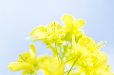 ​关于同学情的唯美句子同学情谊的句子唯美(73句)