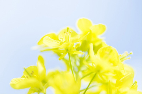 关于同学情的唯美句子 同学情谊的句子唯美(73句)