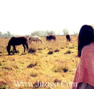 ​热爱生活热爱自己的优美句子(40句)